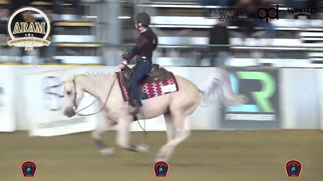 1 show ARAM 2026 - DI TEODORO BEATRICE & ALLREADYGUN score 69,5
