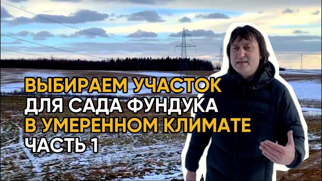 ВЫБИРАЕМ УЧАСТОК ДЛЯ САДА ФУНДУКА В УМЕРЕННОМ КЛИМАТЕ ЧАСТЬ 1