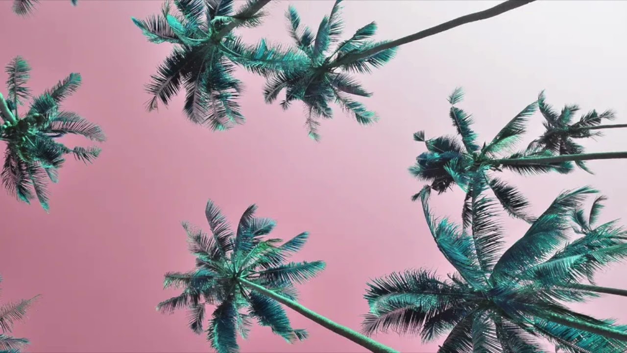 Bonez MC & RAF Camora X Dardan X Jazeek Type Beat - Tropical Summer Hip Hop (Sunshine 104 BPM)