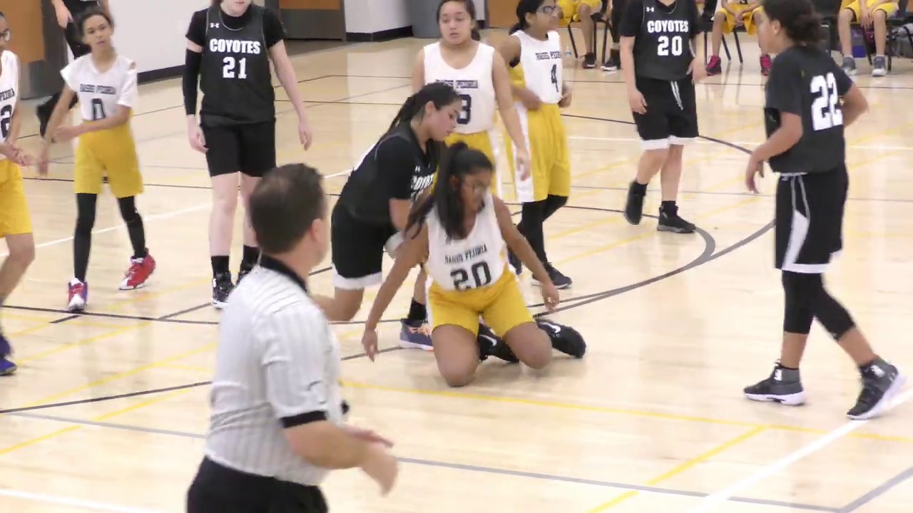 Basis Peoria Game 2019