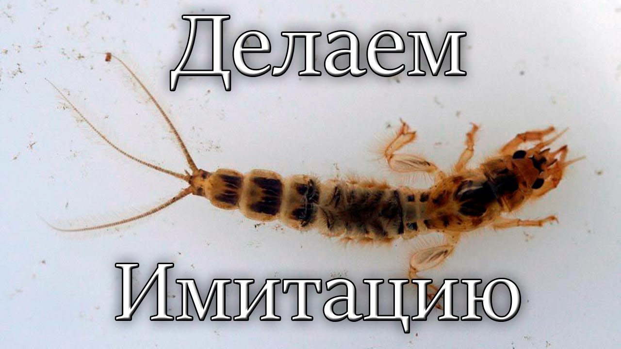 Имитация Личинки Поденки (Бикарас) Своими руками! Любимое Лакомство Рыбы!
