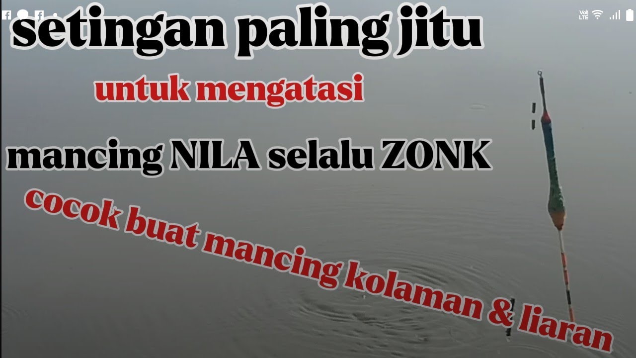 MANCING NILA SELALU ZONK???... inilah setingan plg jitu untuk nila kolaman dan liaran