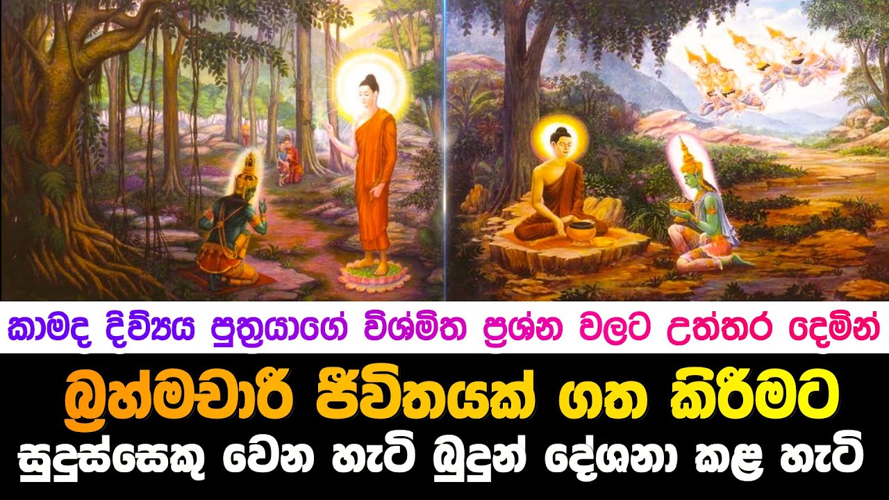 බ්‍රහ්මචාරී ජිවීතයක් ගත කිරිමට සුදුස්සෙකු වන හැටි බුදුන් කාමද දෙවියන්ට හෙළ කරපු හැටි