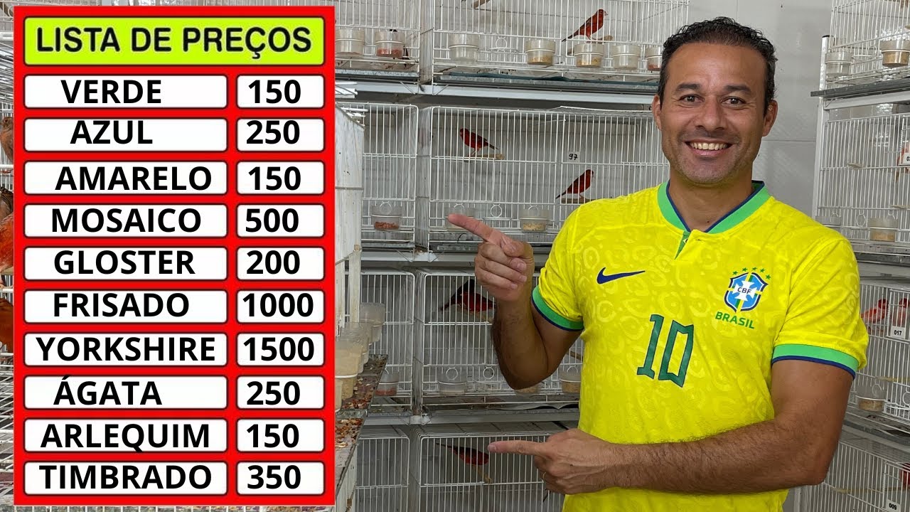 Qual o PREÇO de um CANÁRIO?