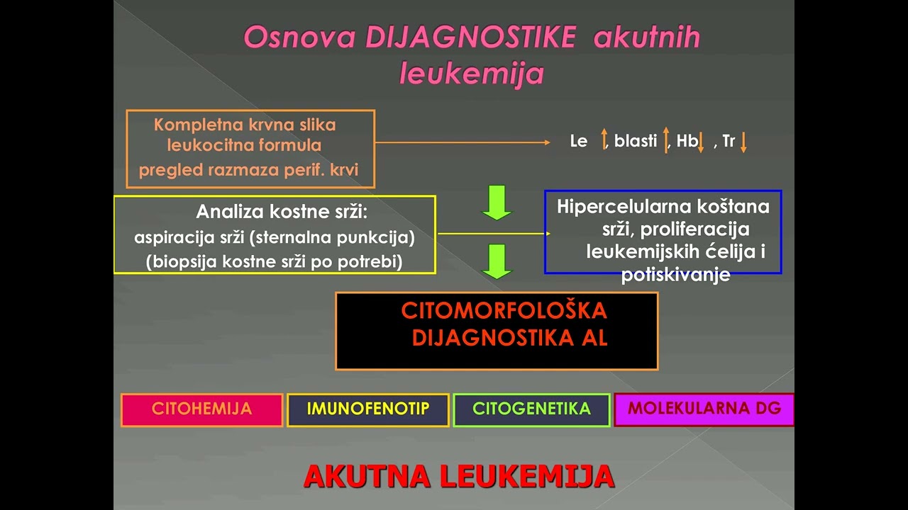 4  Akutna mijeloblastna leukemija prof Ana Vidović