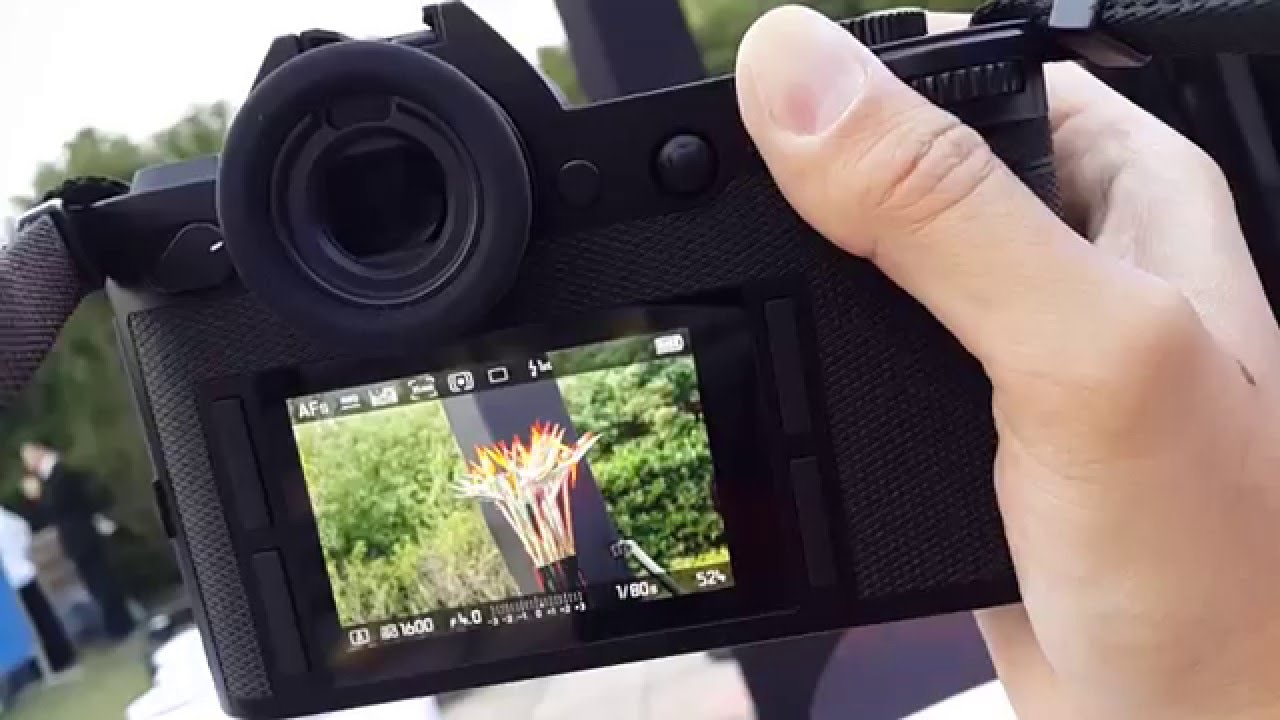 Leica SL（Typ601）Auto Focus Test