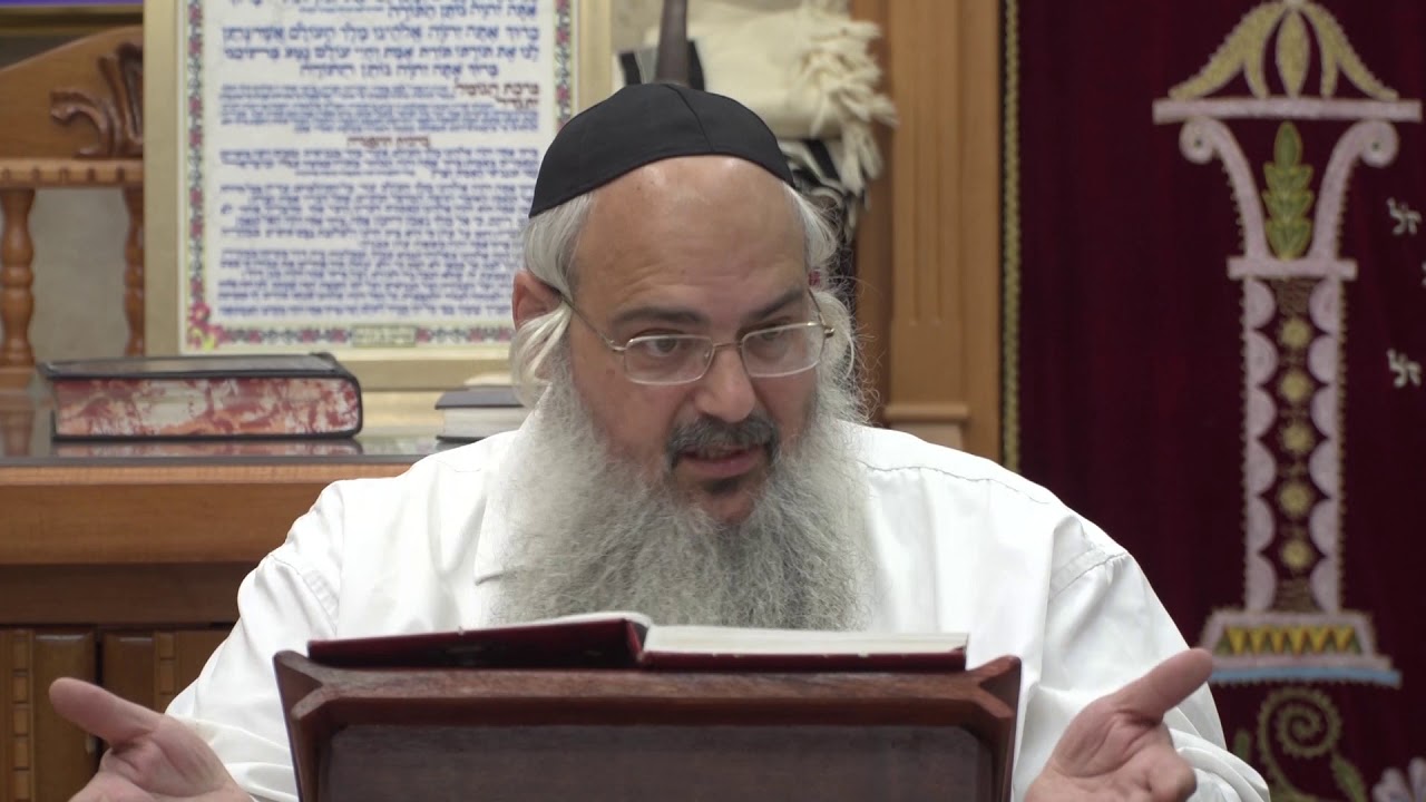 הרב שלמה לוינשטיין | פנינים מפרשת נח  - תשפ