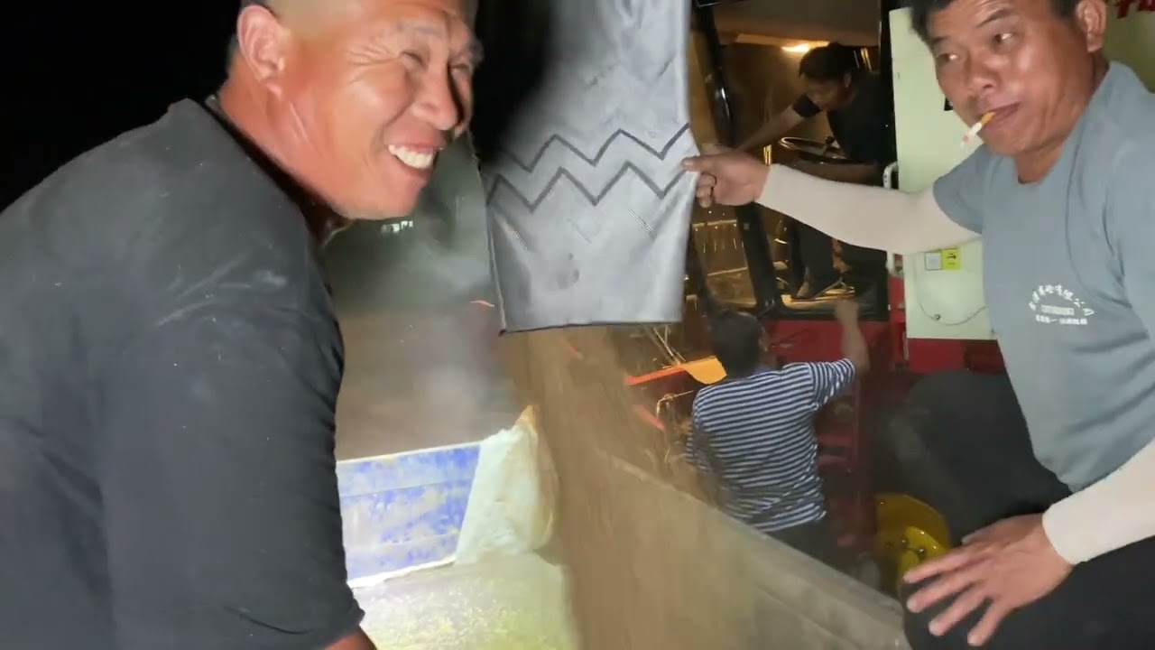 建华的小麦终于收了，建华二亩四分地小麦，到底能出多少斤麦籽？#用抖音记录农村真实生活