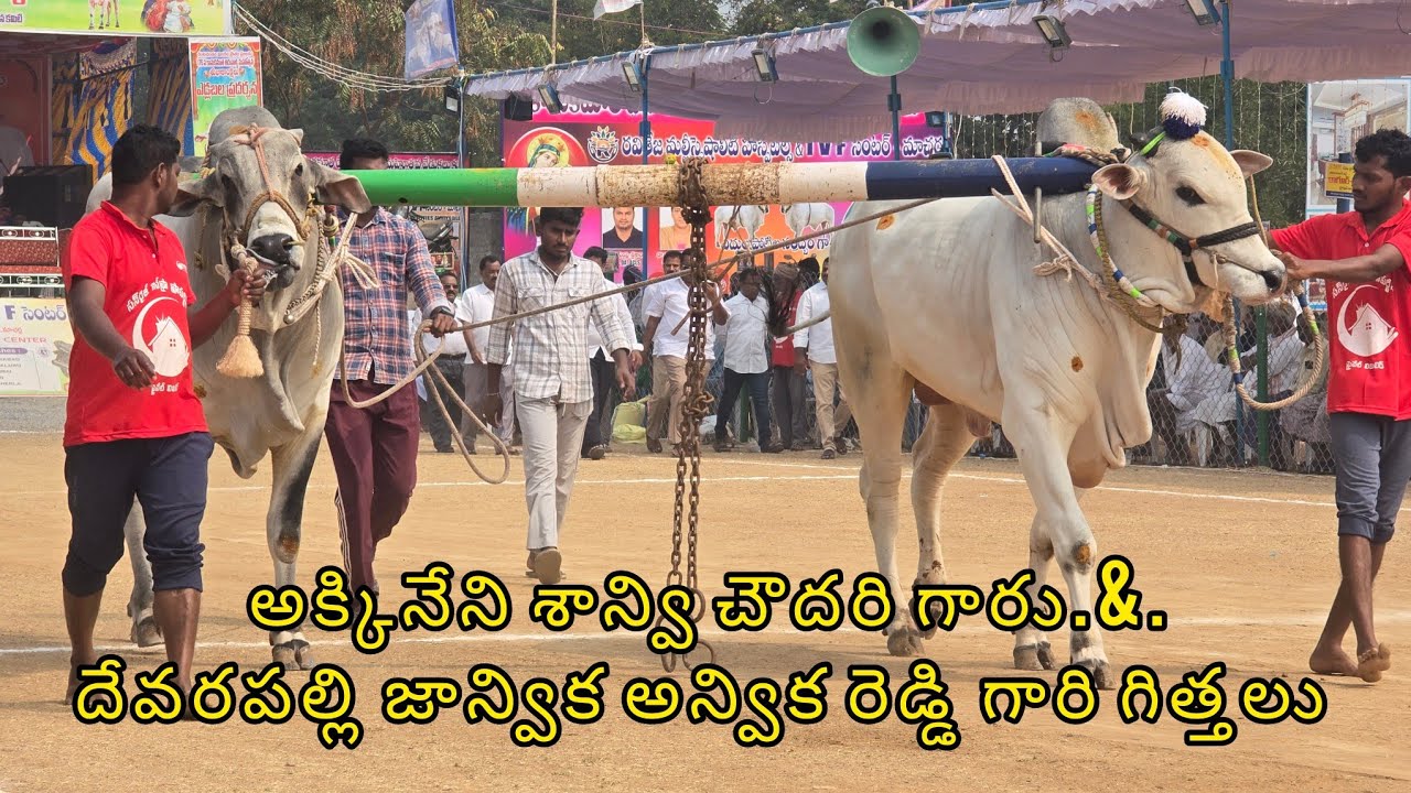 రెంటచింతల ఆరుపళ్ళు 3జత.అక్కినేని శాన్వి చౌదరి గారు.&. దేవరపల్లి జాన్విక అన్విక రెడ్డి గారు కంబైన్డ్