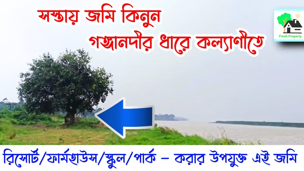 Fp - 1252 | সস্তায় জমি কিনুন গঙ্গানদীর ধারে কল্যাণীতে | 9073 145 145