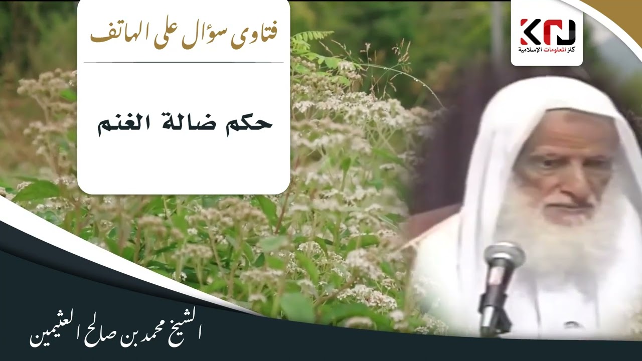 698 - حكم ضالة الغنم - ابن عثيمين