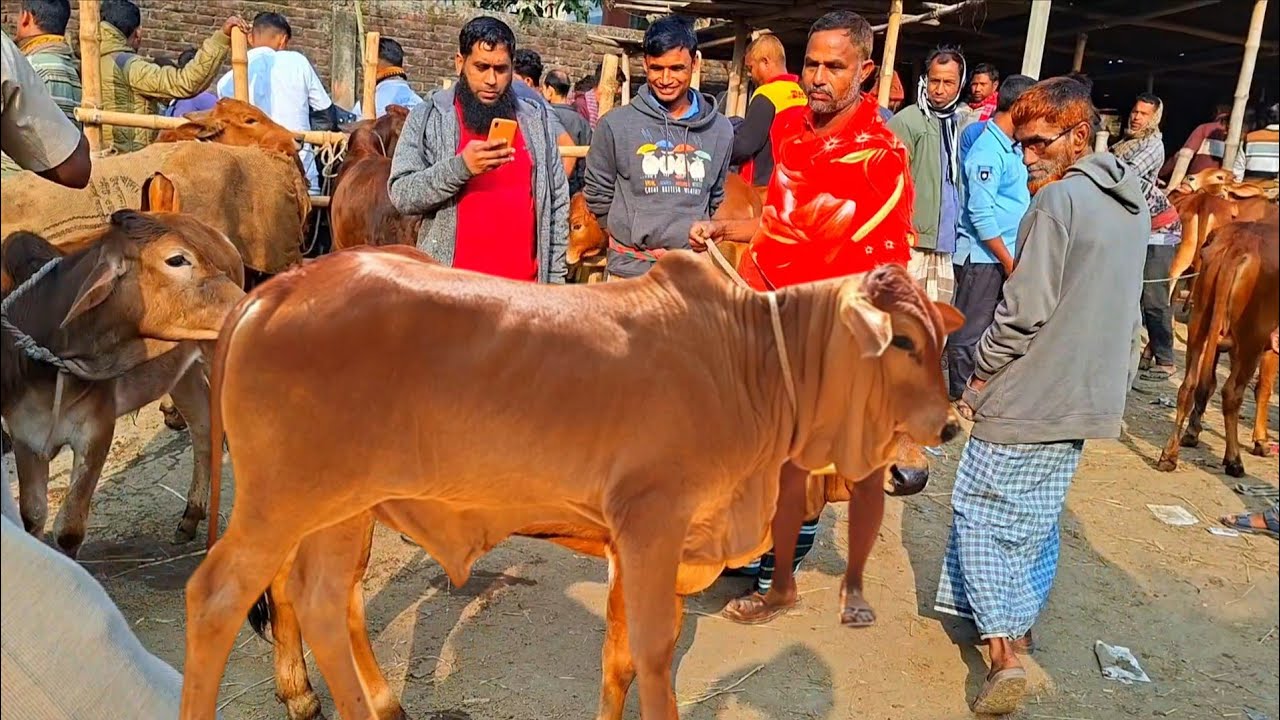 @আজ ৬ ফেব্রুয়ারী