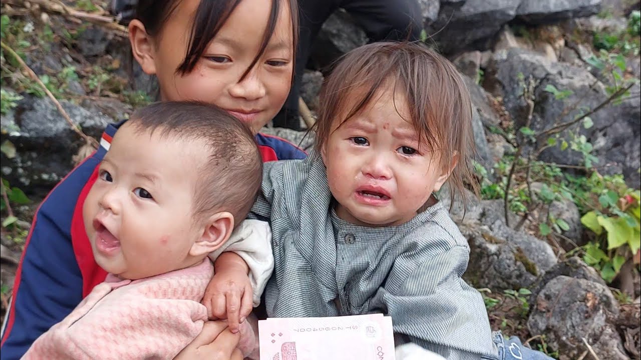 Làm Cỏ Nương Ngô Của Người H'mông,Trên Cao Nguyên Đá.