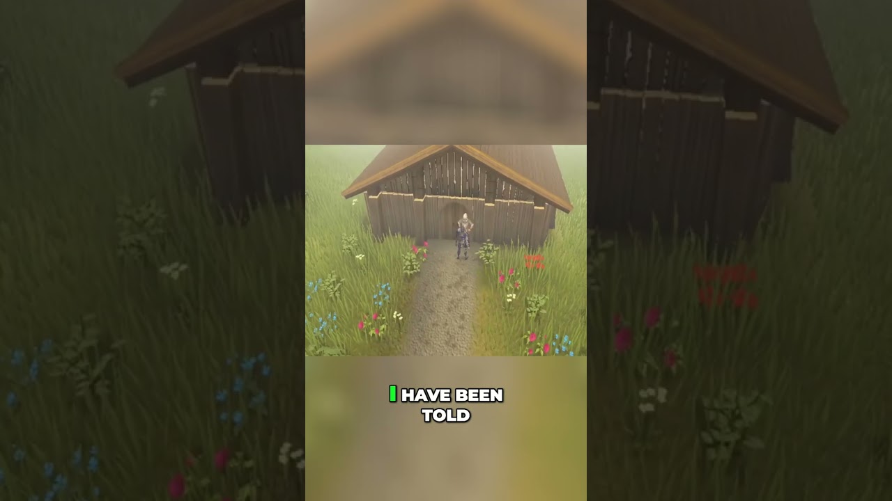 Runescape Private Server 2025 - Player Owned Ports Guide: Leveling, Gear & Rewards!