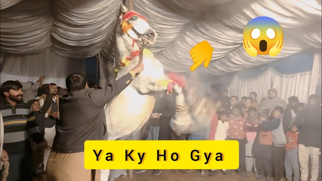 Mehndi Event Horse Dance And Atish Bazi