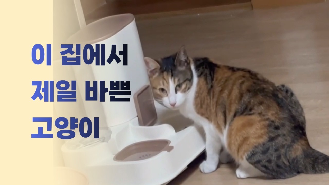 아무 일도 없어서 더 바쁜 하루