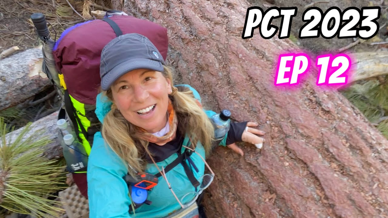 PCT 2023: EP 12 - Cajon Pass to Wrightwood