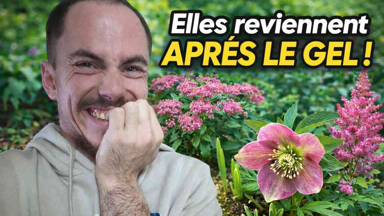 LE PRINTEMPS ARRIVE !! Que faire?