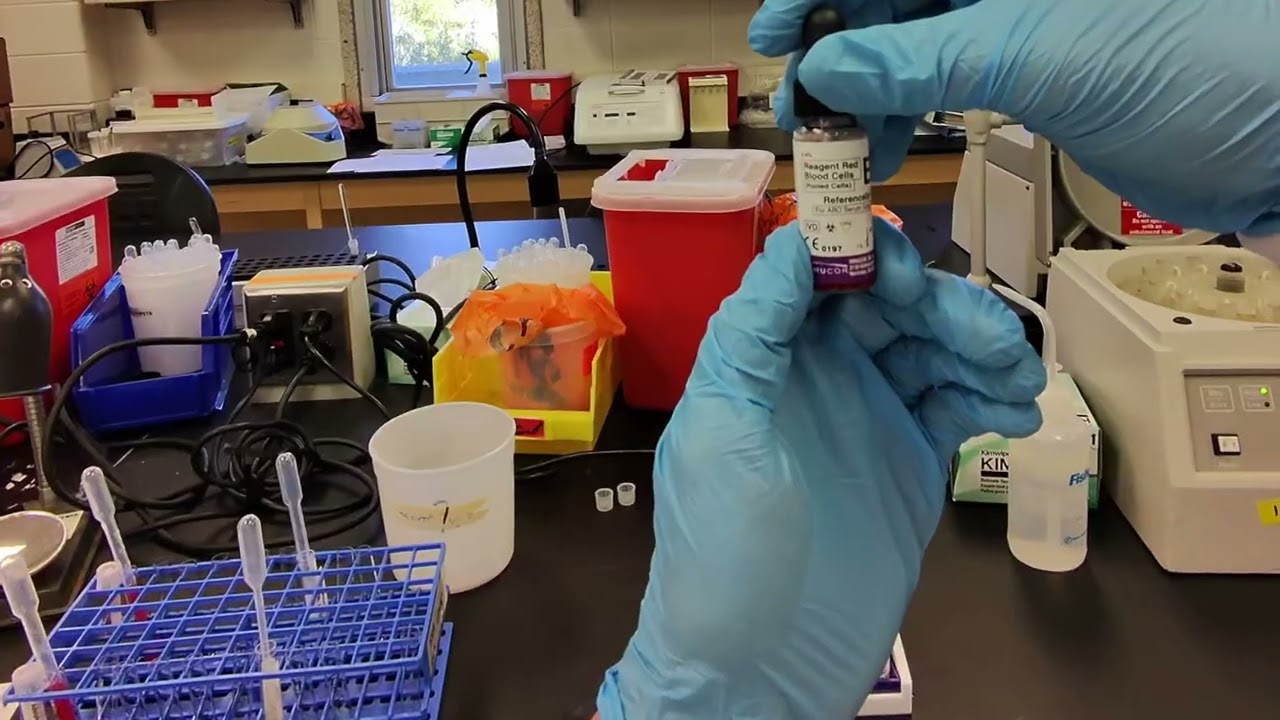 Practical 1 - FINAL VERSION