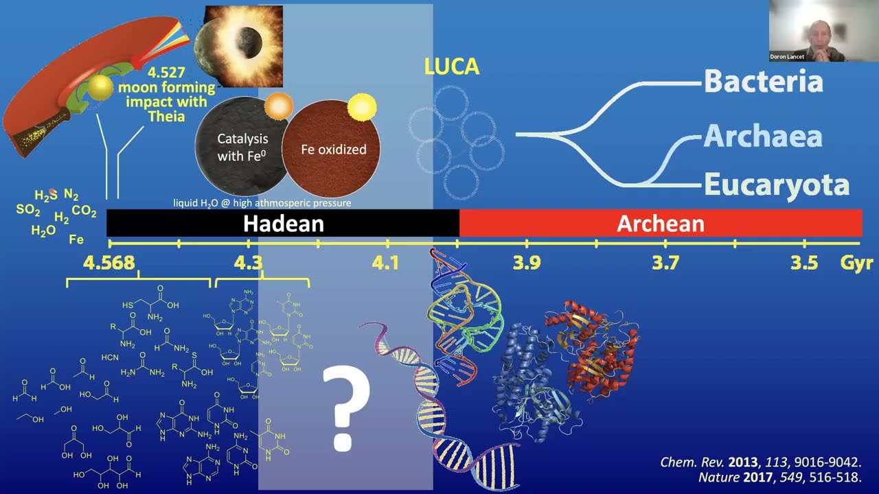 Build-a-Cell seminar Oliver Trapp: Bottom-up Formation of Protocells by a Prebiotic Organocatalyst