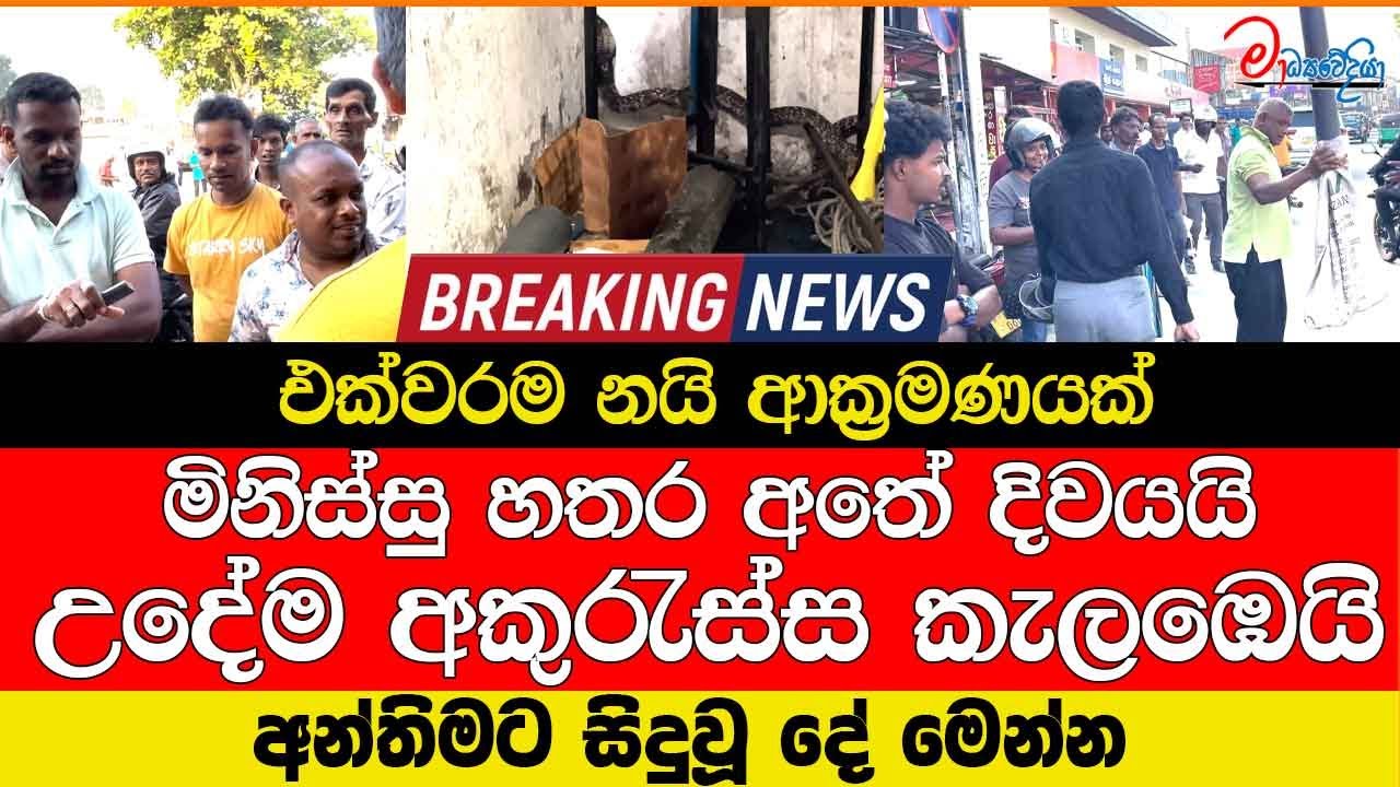 එක්වරම නයි ආක්‍රමණයක් මිනිස්සු හතර අතේ දිවයයි උදේම අකුරැස්ස කැලඹෙයි
