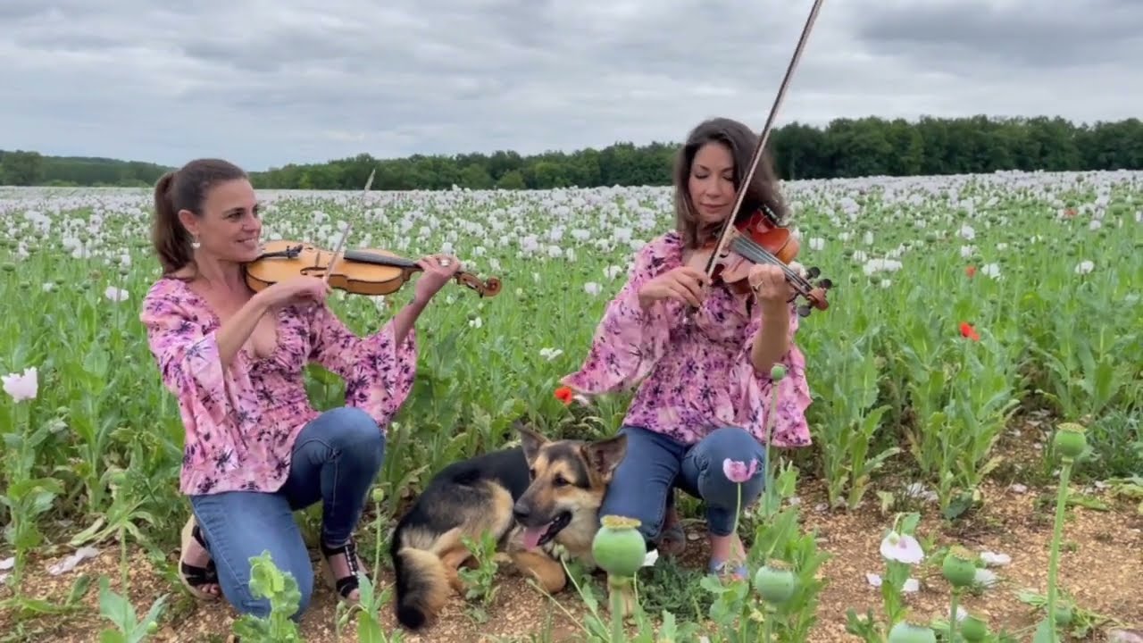 Les Amazones Violonistes - Chi Mai