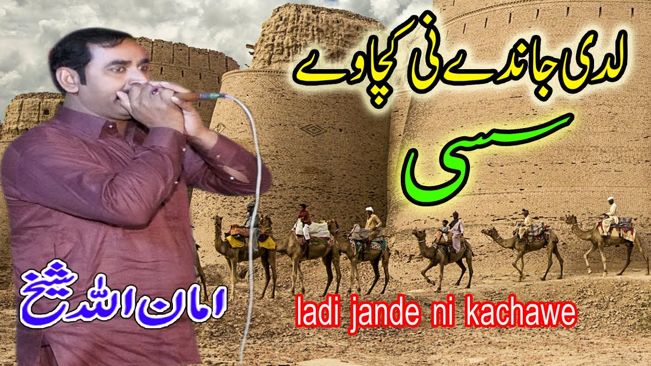 Ladhi Jande Ni Kachawe | Best Viral Pakistani Song | Singer Amanullah Sheikh | Liaqat Sheikh Group |