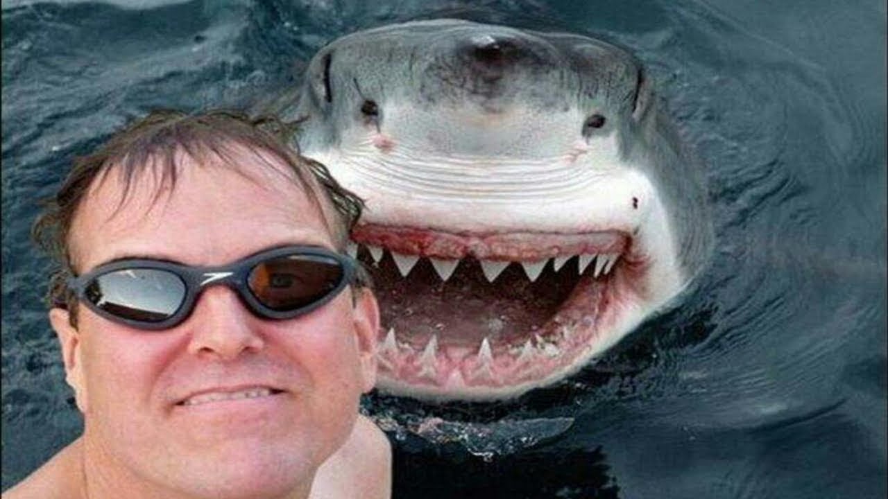 10 Most Dangerous Selfies Ever!