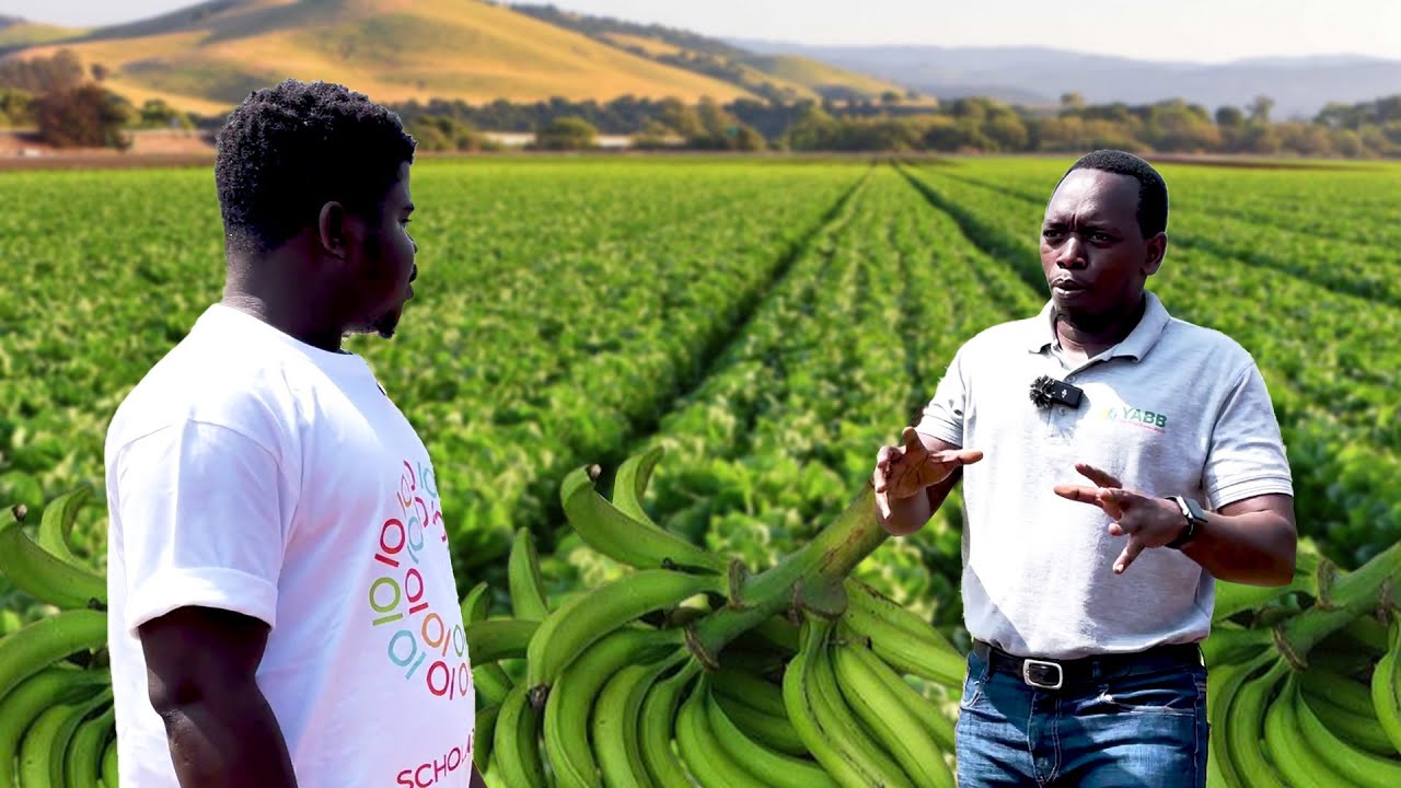 How A Young Rwandese Empowers 5000 Farmers In Rwanda 🇷🇼