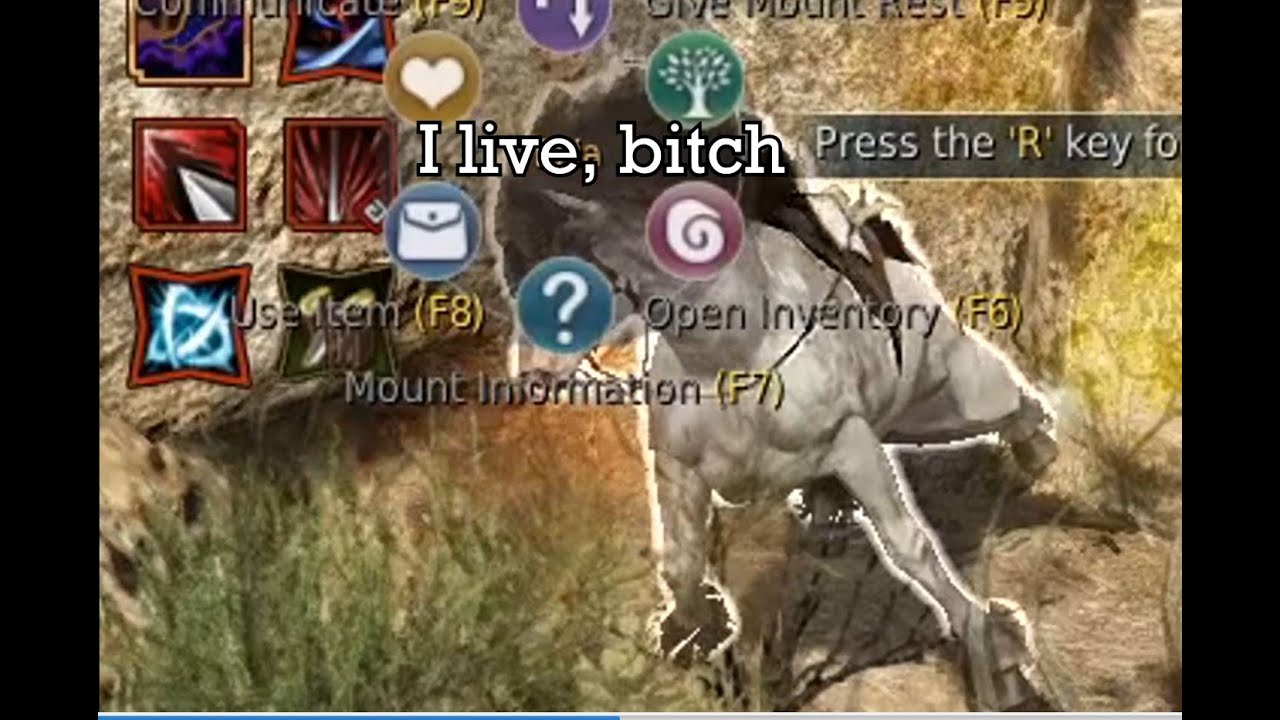 BDO Shenanigans #1 feat. Layvan