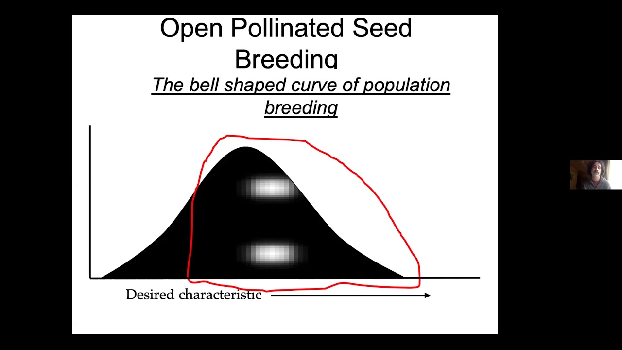 CST Seed Saving Workshop