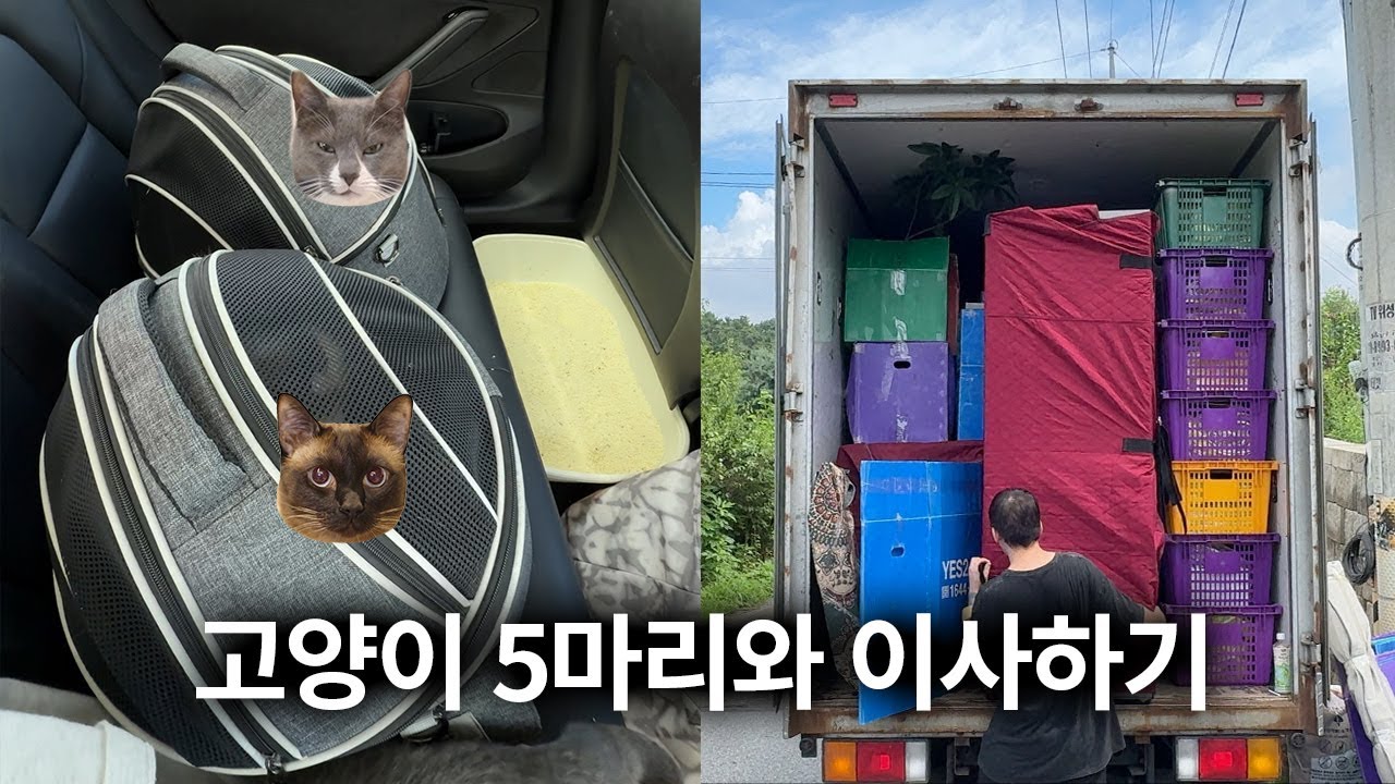 지옥의 4중주 들으며 이사하기