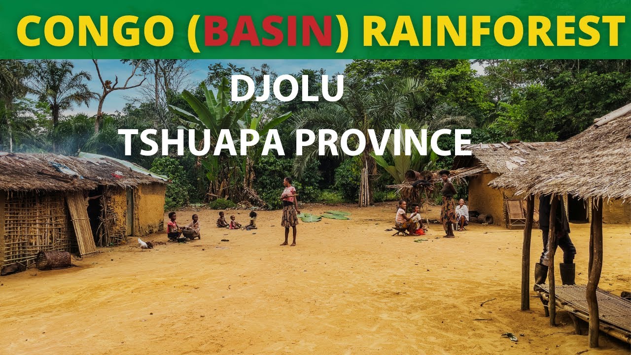 THE CONGO BASIN RAINFOREST: At the center of Congo (Djolu in the Tsuapa)