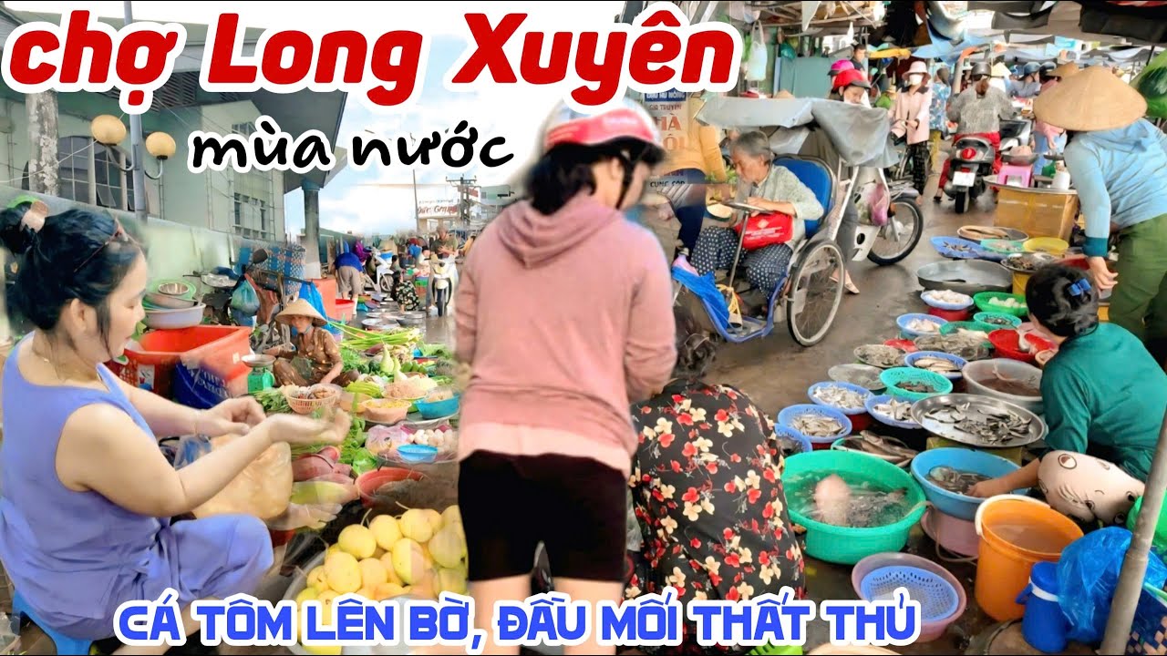 CHỢ LONG XUYÊN AN GIANG MÙA NƯỚC LÊN CAO CÁ TÔM LÊN BỜ - CHỢ ĐẦU MỐI THẤT THỦ VÌ Ế | KPVL