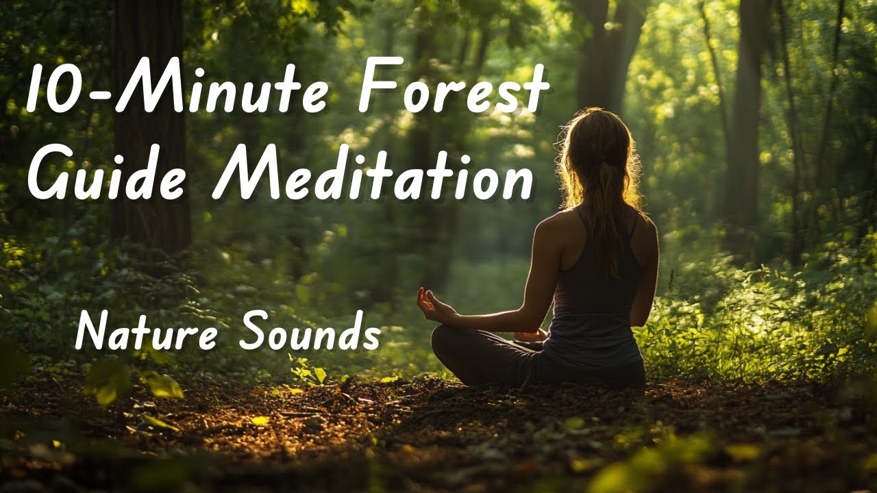 10 Minute Forest Meditation for Stress Relief | Guided Relaxation with Nature Sounds