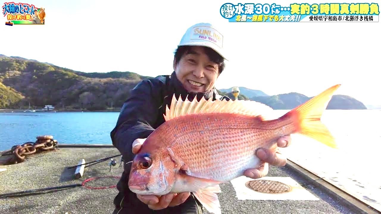 【宇和島の最強風裏釣り場ならココ】 マダイ、カワハギ、アマダイ、イトヨリ…春の投げシーズン到来‼ 大物が潜む宇和海の穴場へ R8.3.13 宇和島市津島町 【大輔のとことん投げ釣り塾】
