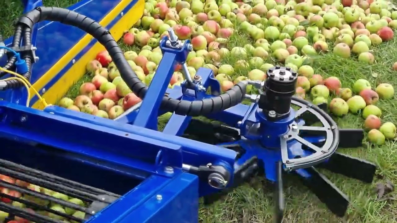 SPARTAN APPLE harvester Dom-Wid Apple pickuping Kombajn do zbierania jabłek przemysłowych Spartan