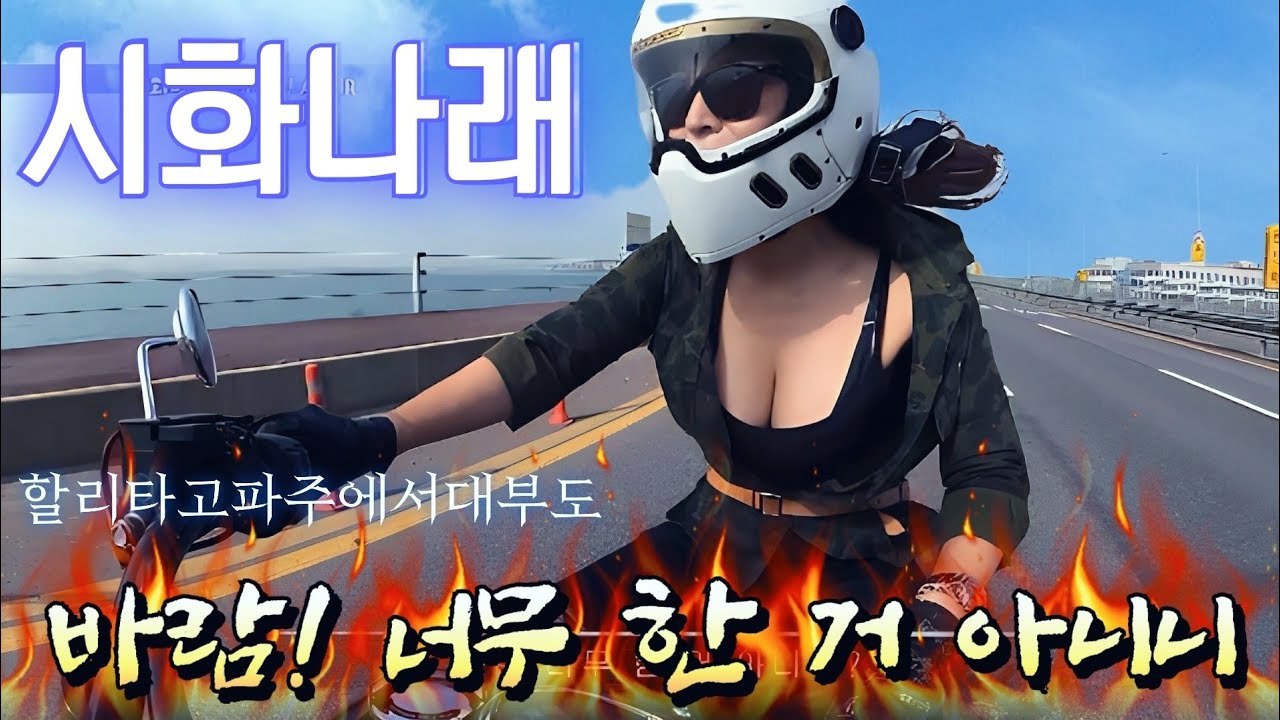 바람맛집 #시화나래 #대부도 가는 길| #할리 오프로드?? 레알?? |그누나 하이텐션 투머치토크| 시화방조제 라이딩 asmr