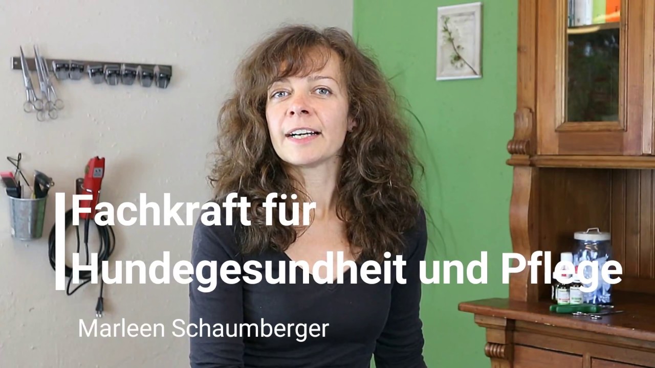 Hundefriseur Ausbildung