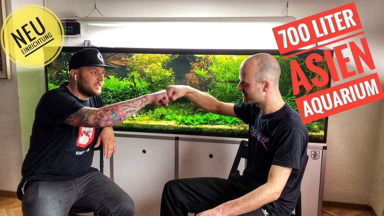 Neugestaltung eines 700l Asien-Aquariums - Teil 1