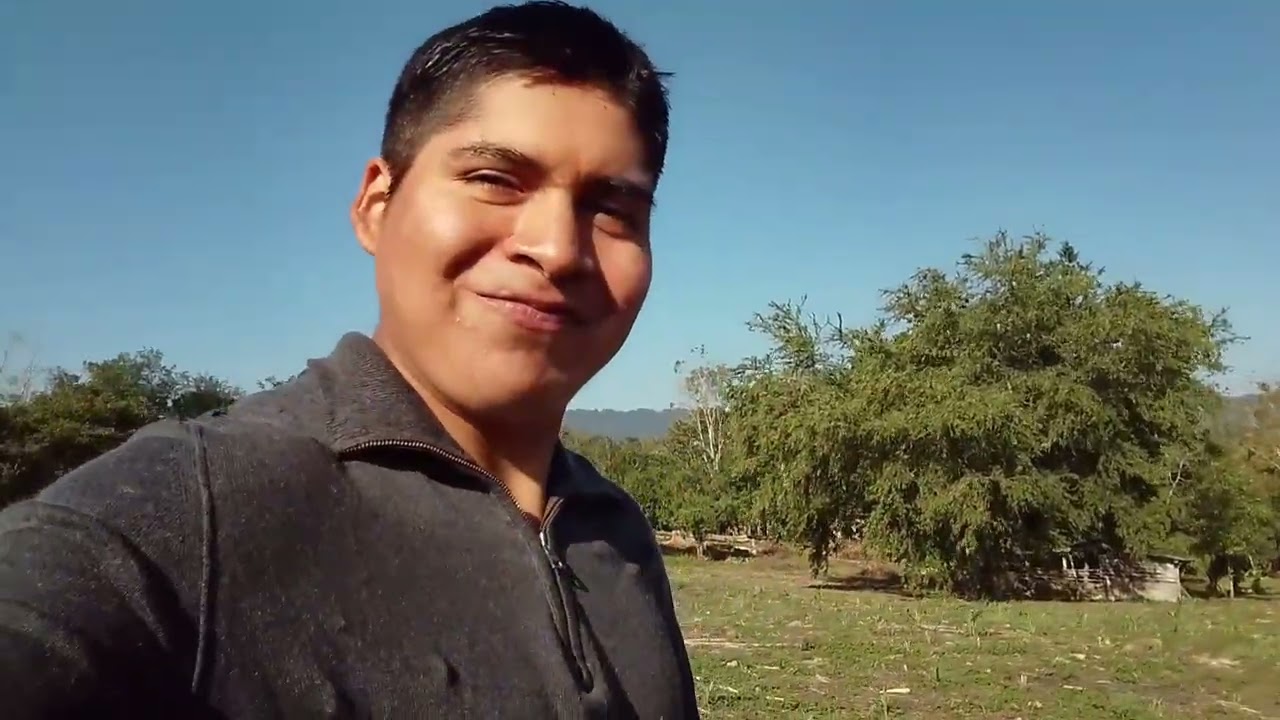 Yo de nuevo... CAMPO/PUERCOS 🌱🐷