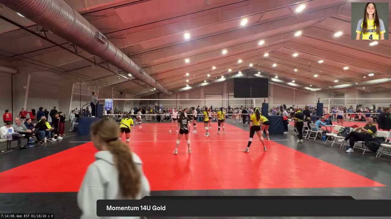 Momentum 14U Neon (2026.01.18)