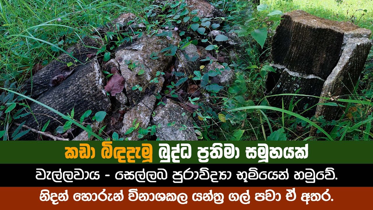 කඩා බිද දැමූ බුද්ධ ප්‍රතිමා රාශියක් වැල්ලවාය සෙල්ලබ කදුගැටයෙන් හමුවේ | wellawaya sellaba archaeology