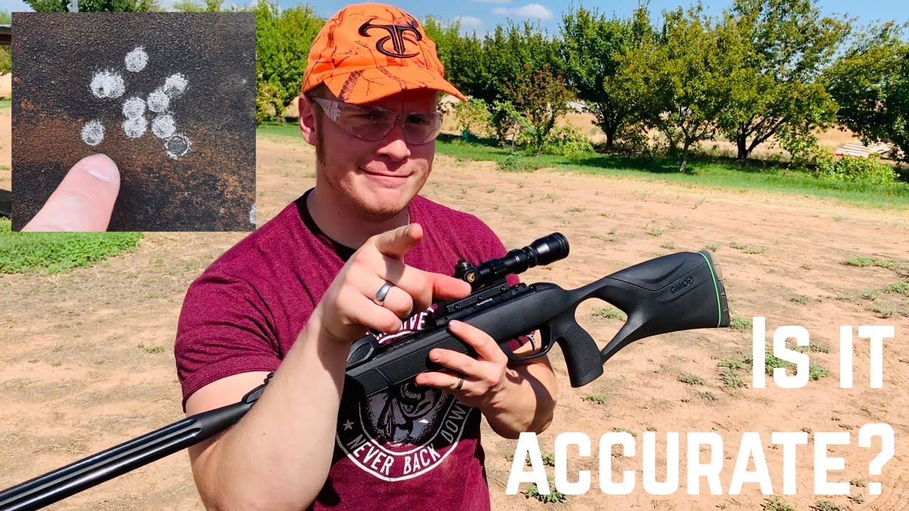 Gamo Swarm FUSION Accuracy Review: Is it Accurate? Airgun Test!