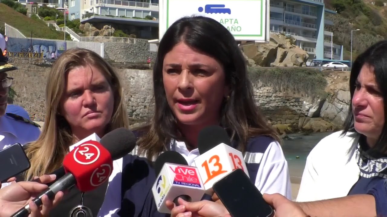 LIMPIEZA PLAYA LOS LILENES CONCON