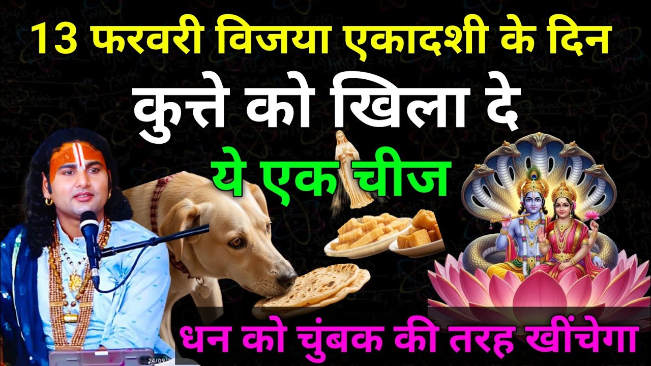 13 फरवरी विजया एकादशी शुक्रवार के दिन कुत्ते को खिला दे ये एक चीज। धन को चुंबक की तरह खींचेगा !