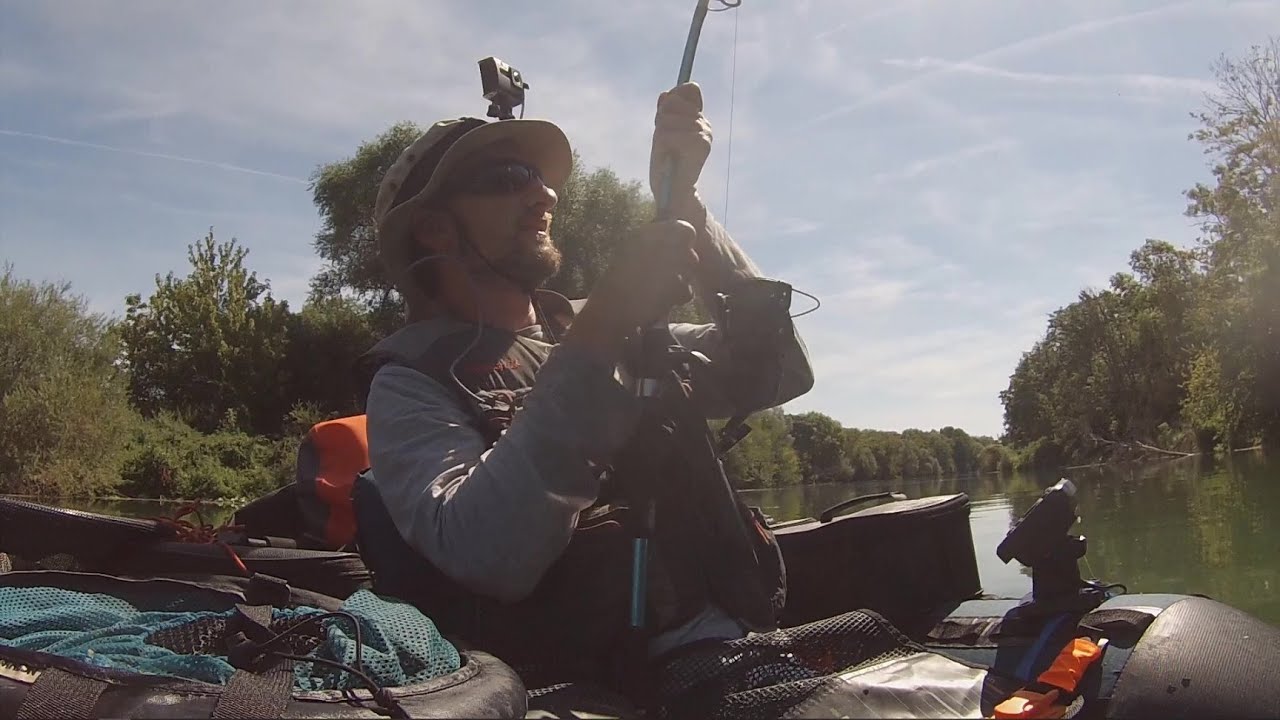 Chevesnes et Silures de Marne en Float Tube - Août 2020 #2