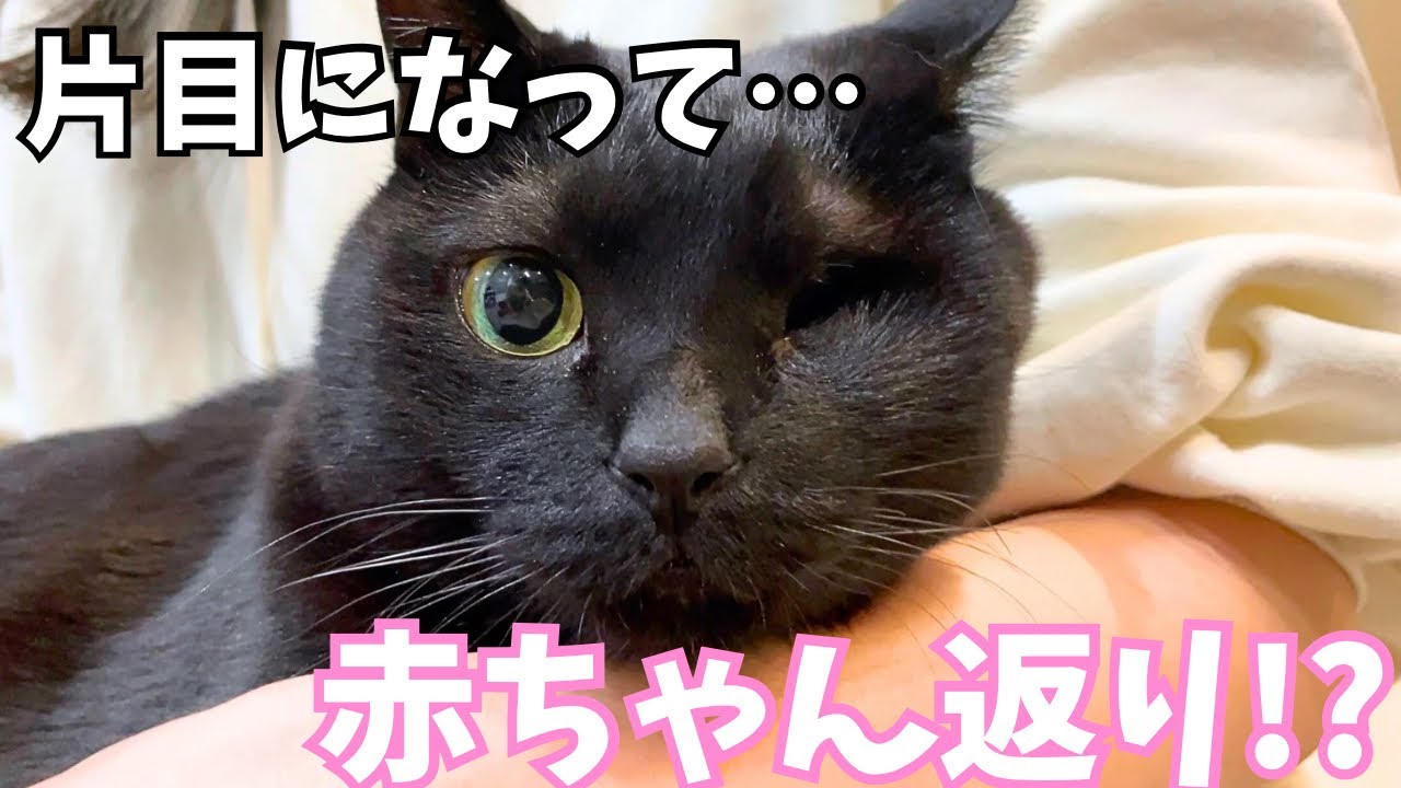 つーちゃんの双子の兄。実はこんな甘え方をします