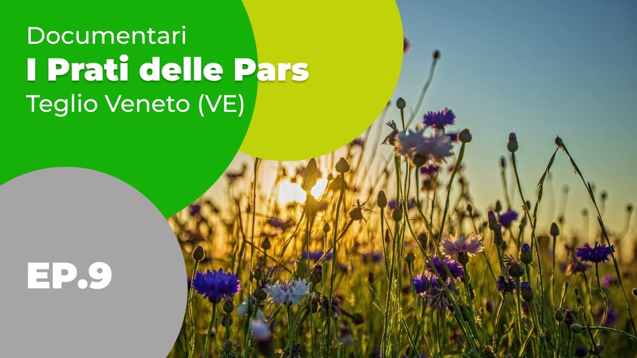 Prati Delle Pars - un breve documentario - sottotitolato