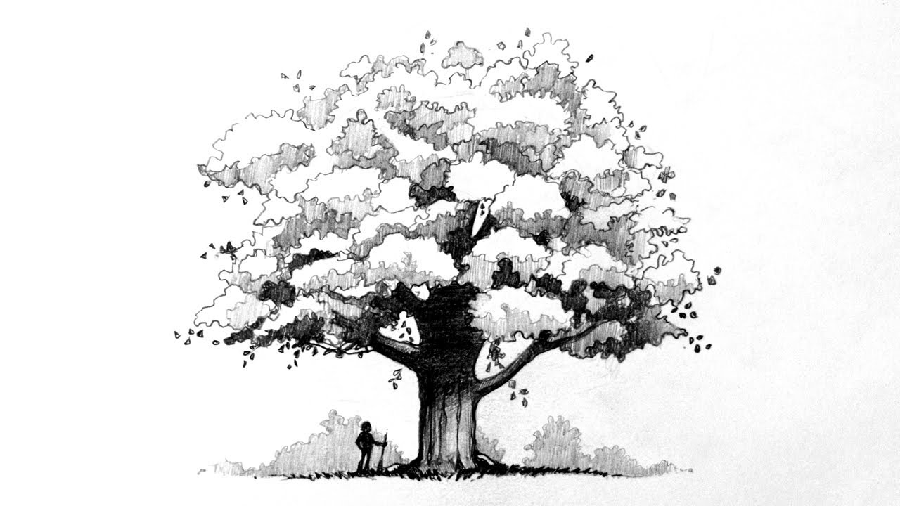 Como Dibujar un Arbol - Dibujo a Lápiz - Método #1